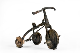 Future Memory - Tricycle