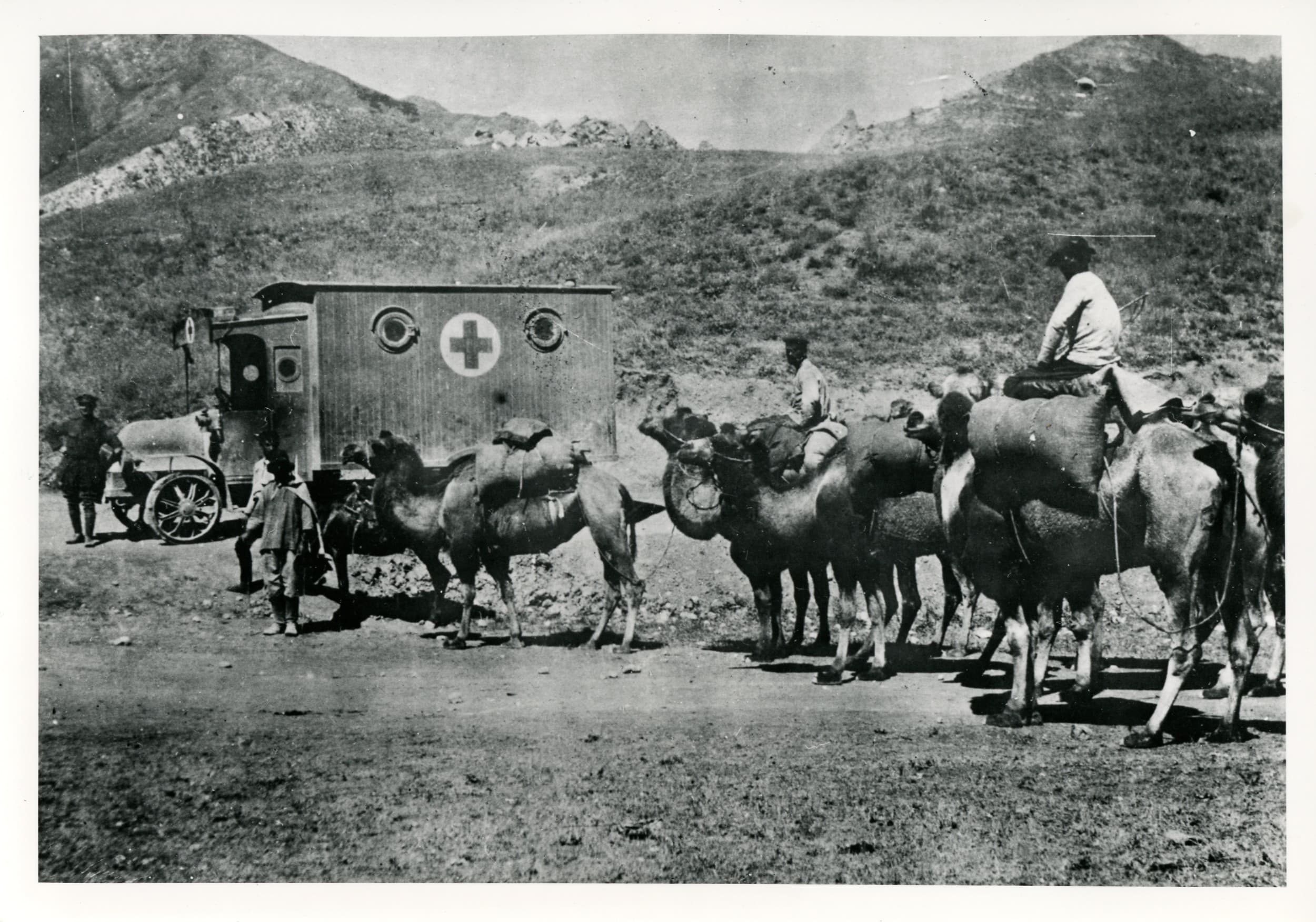 With Commander Locker