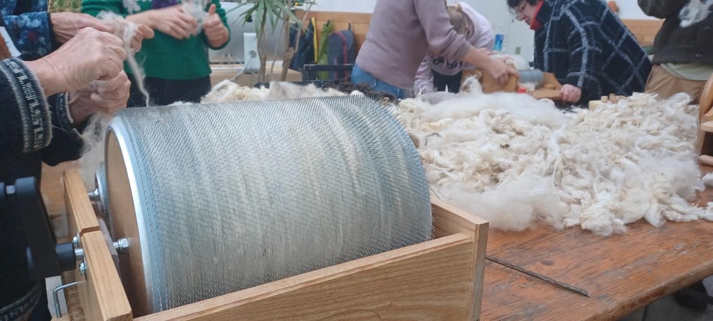 Solidarity Sunday: Wool processing workshop